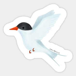 Arctic Tern Bird Sticker